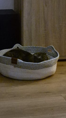Kunde zeigt Fellnest Katzenkorb in grauer und weißer Textiloptik, in dem eine Katze zusammengerollt schläft.