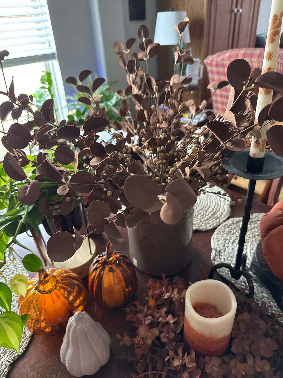 Customer photo review of PRE ORDER** | Mocha Eucalyptus Stem