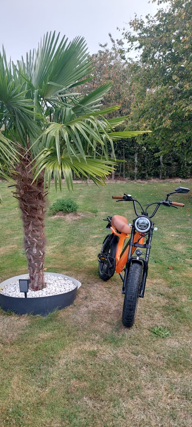 Customer photo review of Onemile Scrambler V Pro Electric Fat Tire Bike