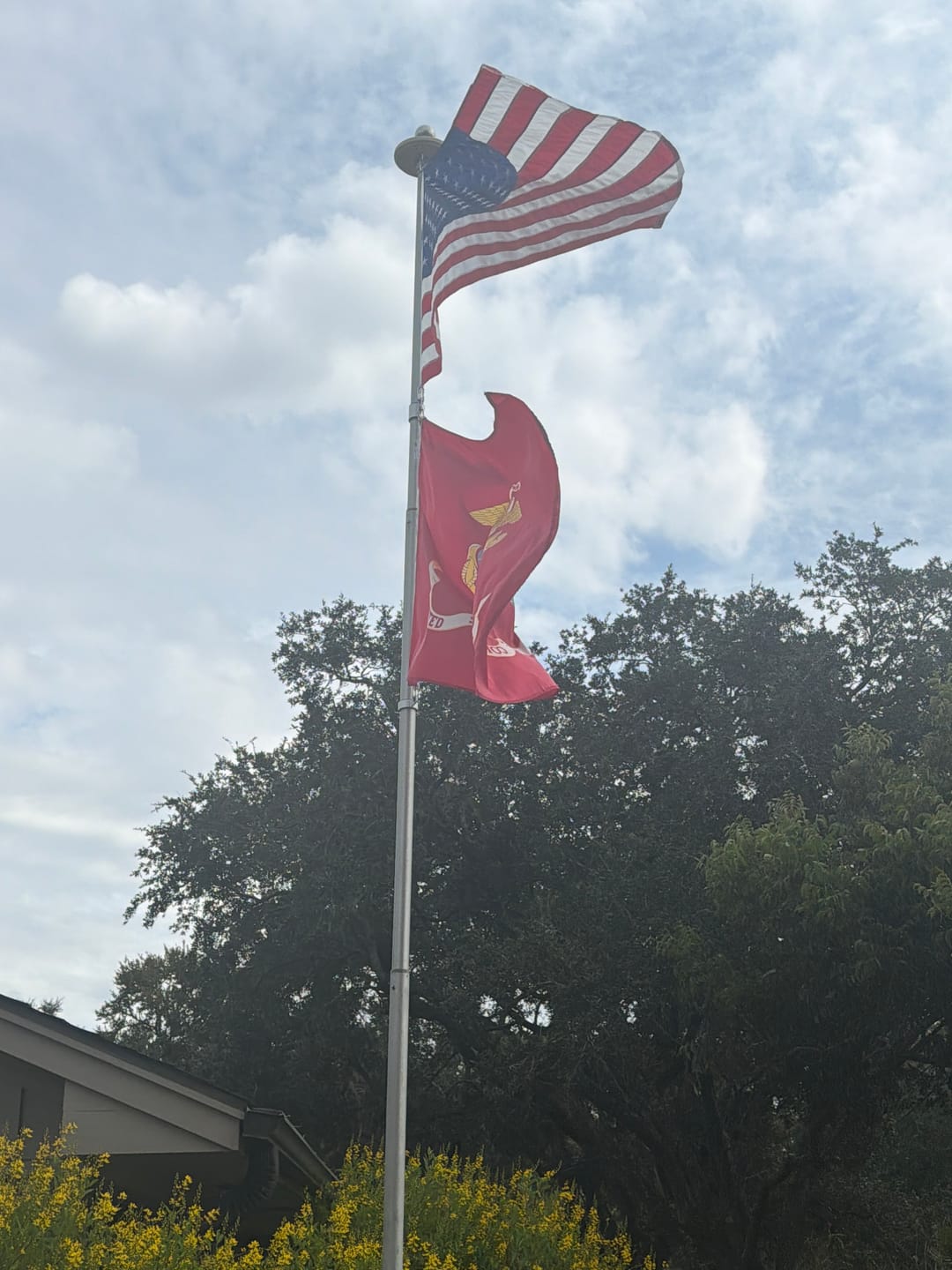 Customer photo review of 3' x 5' American Flag