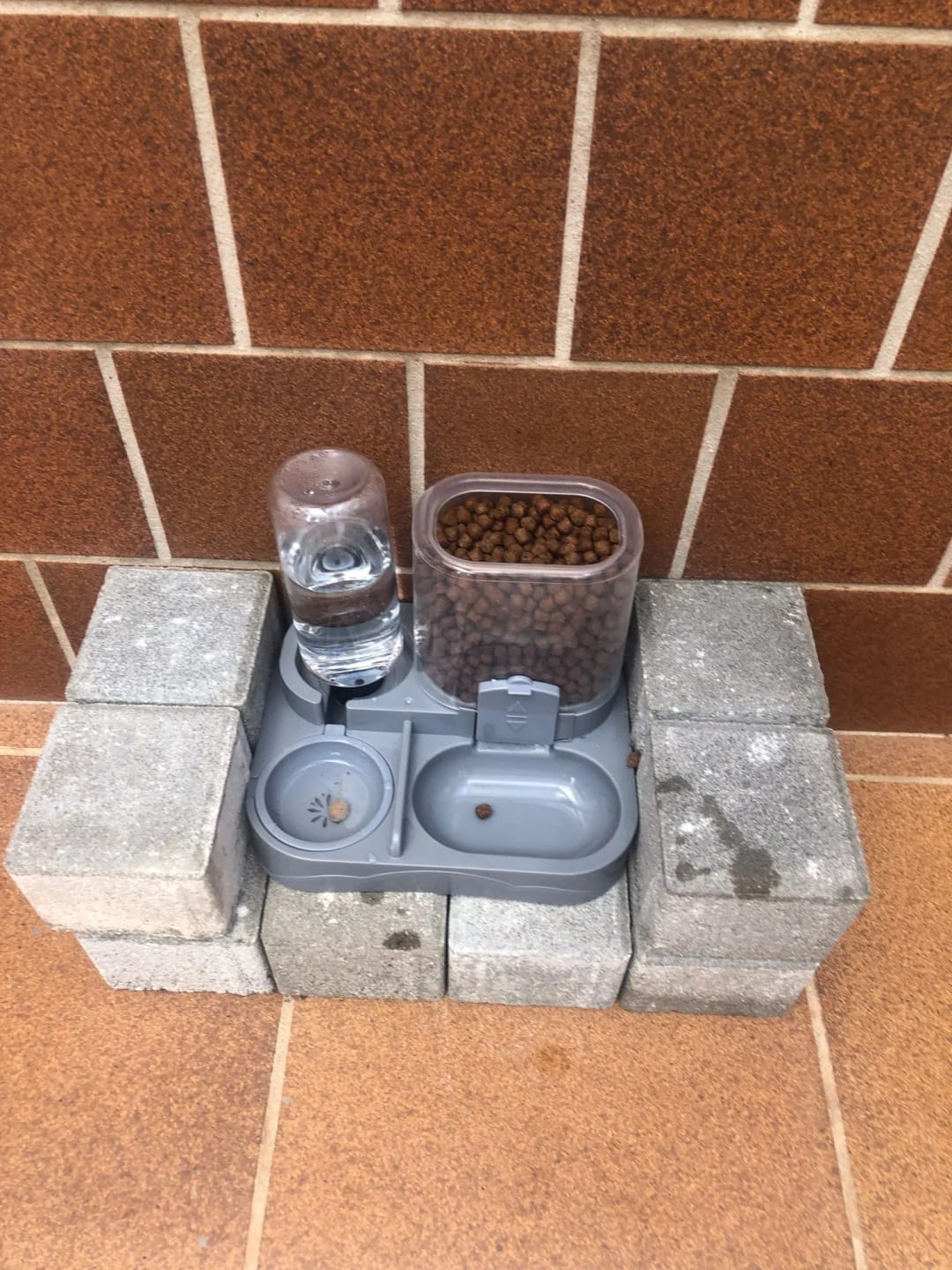 Customer photo review of Dispensador de Agua y Comida para gatos 2 en 1 para Mascotas Grandes