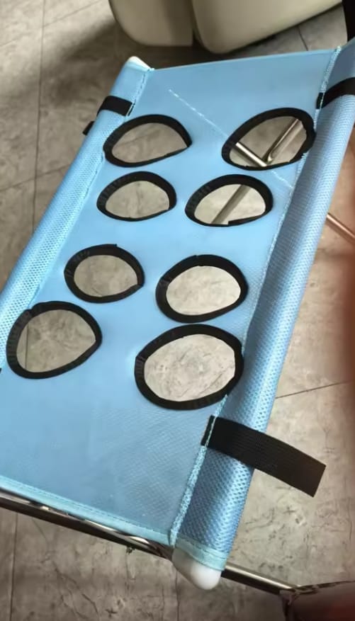 Customer photo review of Stress-Free Pet Bath & Grooming Stand