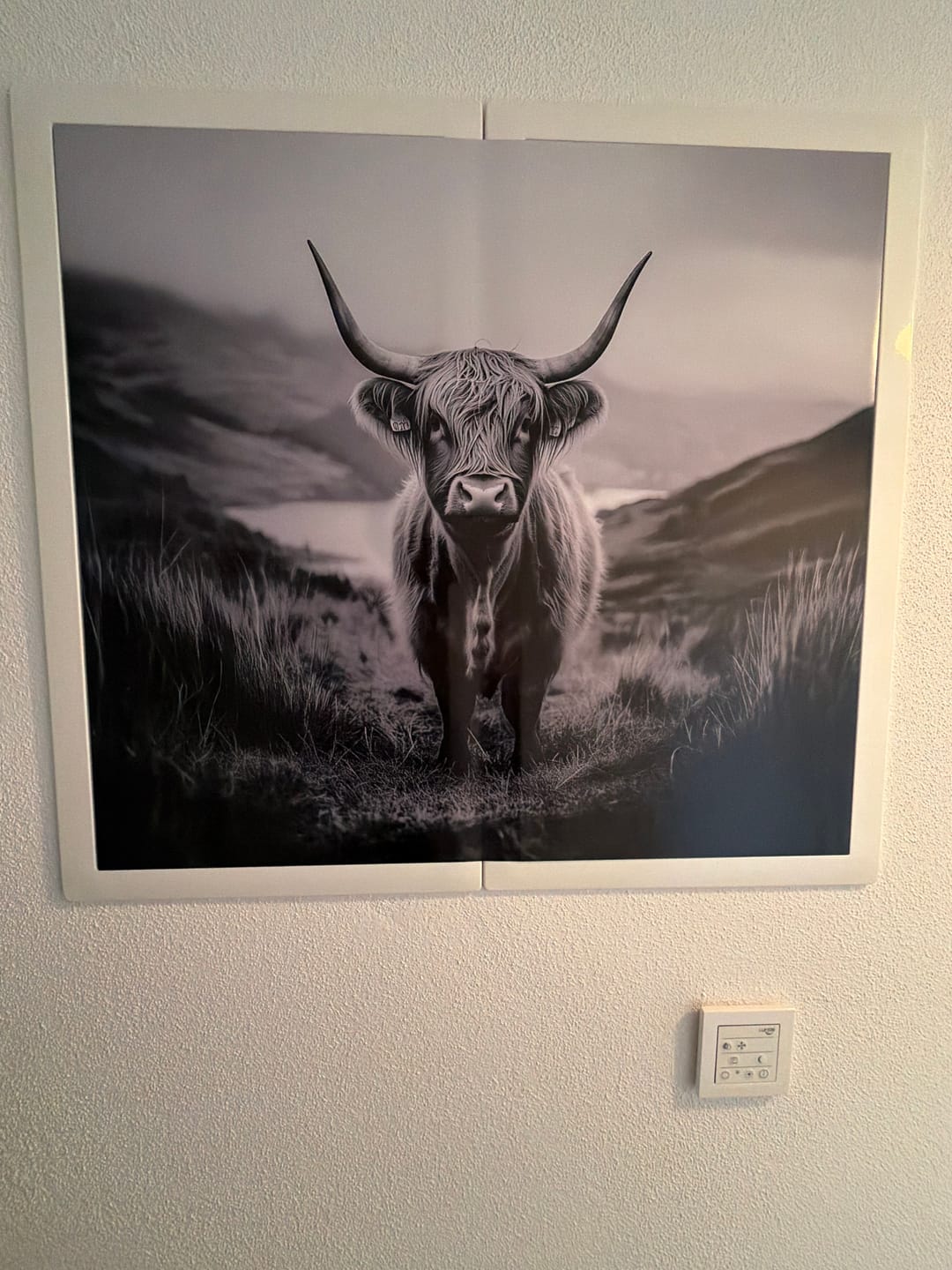 Customer photo review of Tiere: Highland Spirit