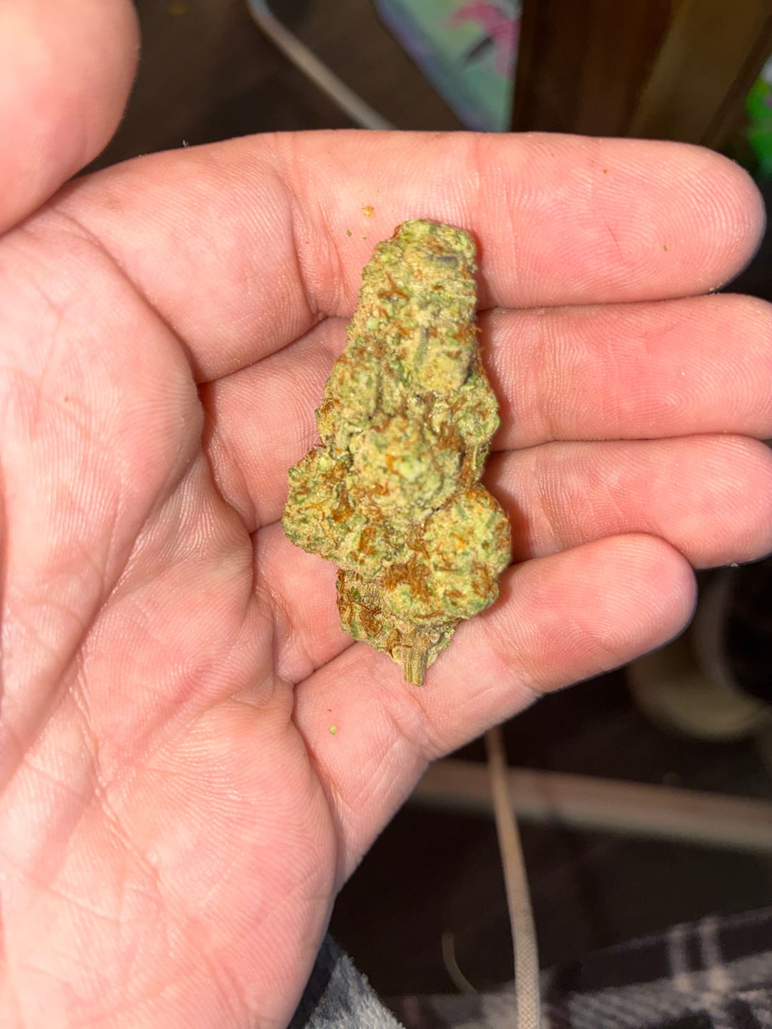 Customer photo review of Blewtooth THCA Flower