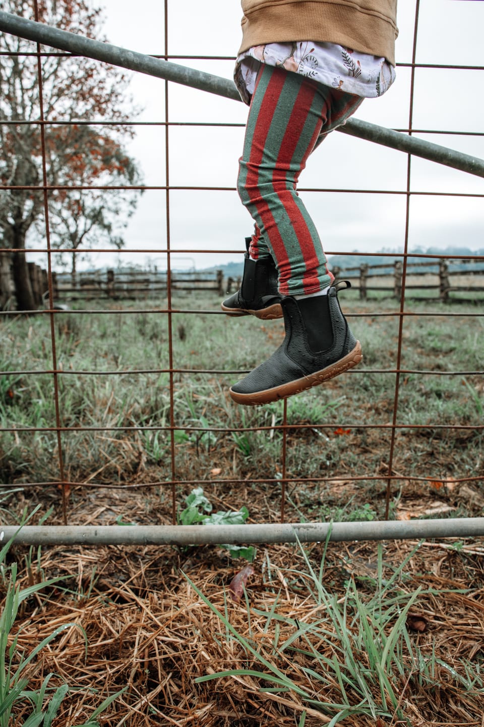 Customer photo review of BLACK GUM | CHELSEA BOOTS - JNR