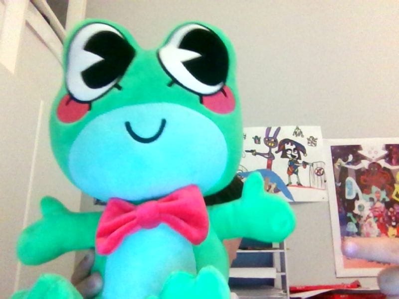 Customer photo review of Ribbit Plush
