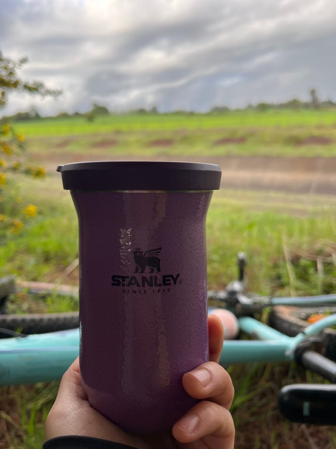 Customer photo review of Mate Slim Tigerlily Lilac | 200 ml