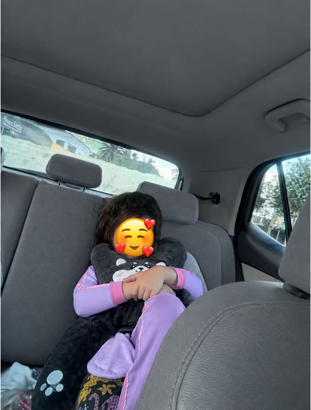 Customer photo review of Cojín de Viaje para Niños
