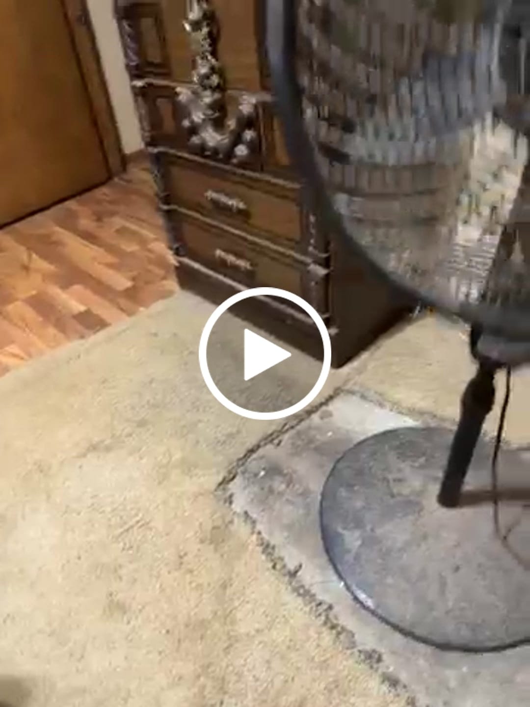 Customer video review of Tulle - Barefoot Shoes