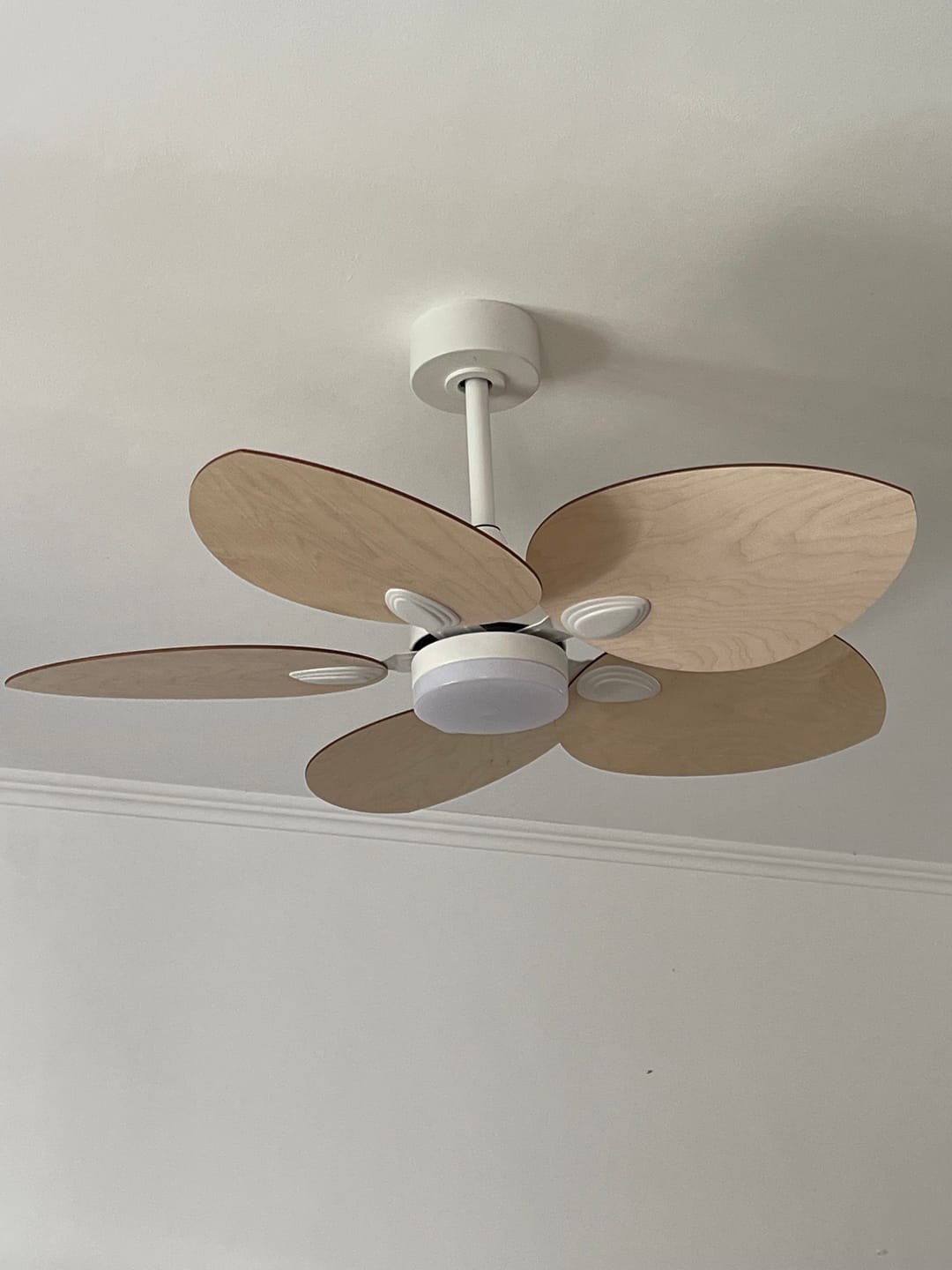 Customer photo review of Dahlia | Ventilateur de plafond