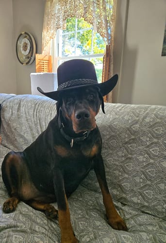 Customer photo review of The Lash Stetson Hat - Made Exclusively for Waylon Jennings - PREORDER