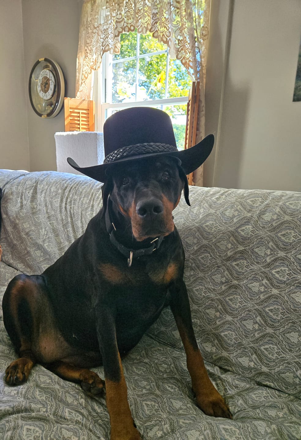 Customer photo review of The Lash Stetson Hat - Made Exclusively for Waylon Jennings - PREORDER