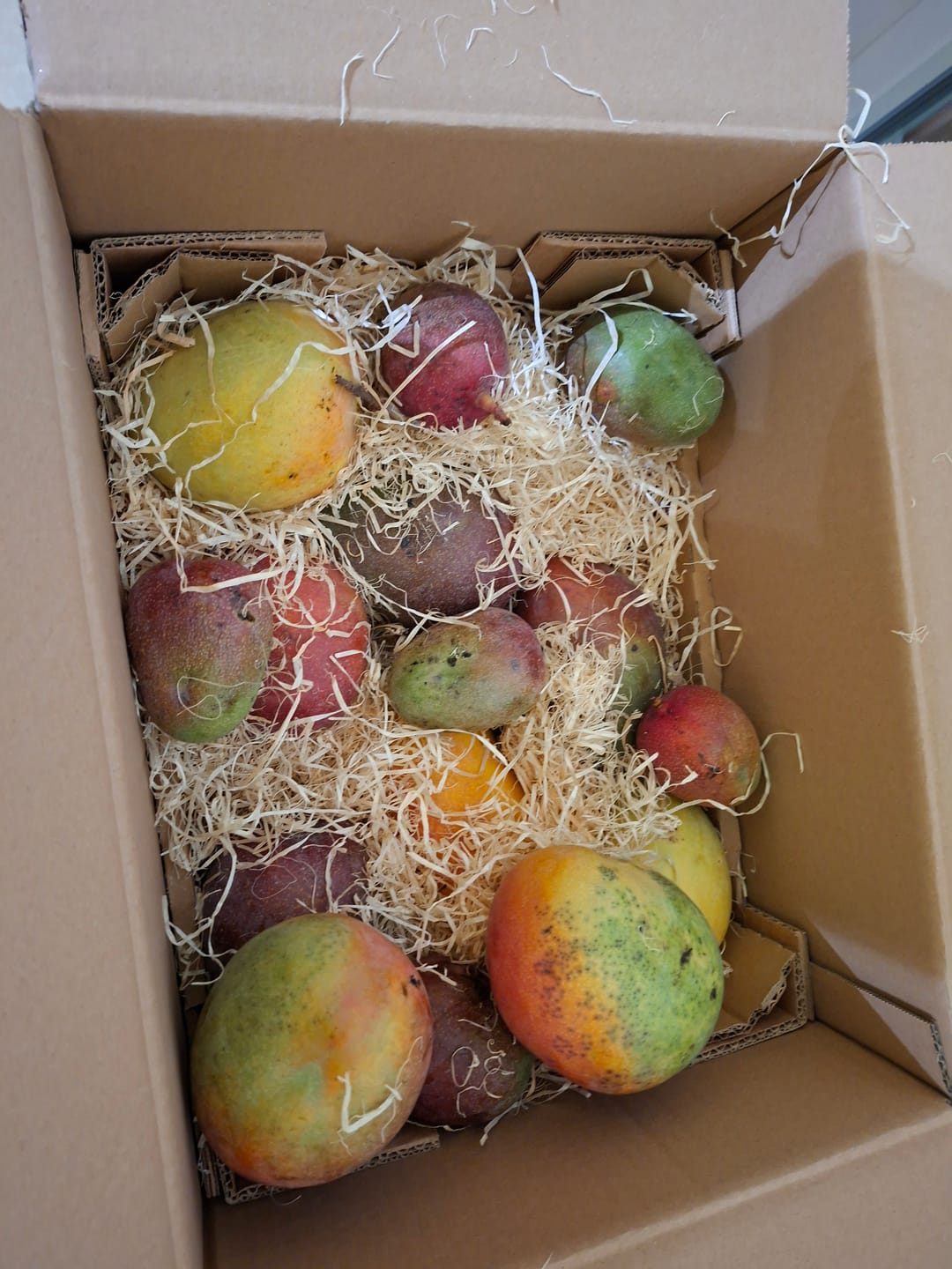 Customer photo review of Ugly Mangobox