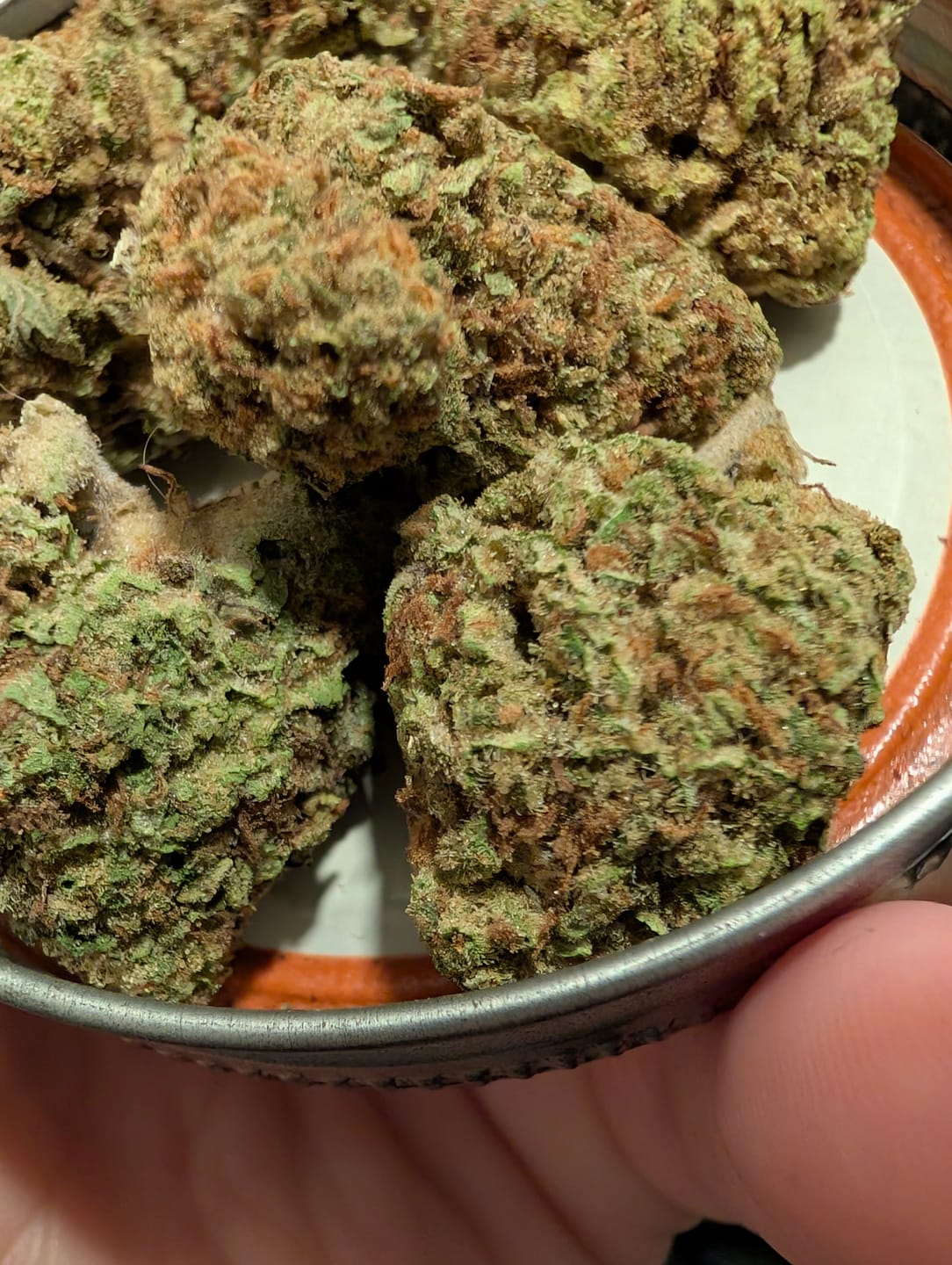 Customer photo review of Snake Venom THCA Flower