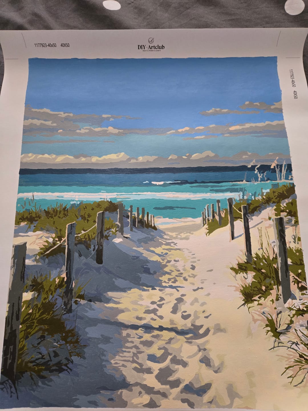 Customer photo review of Beach Path | Paint by Number
