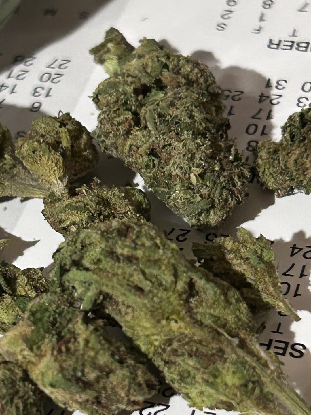 Customer photo review of White Rhino THCA Flower