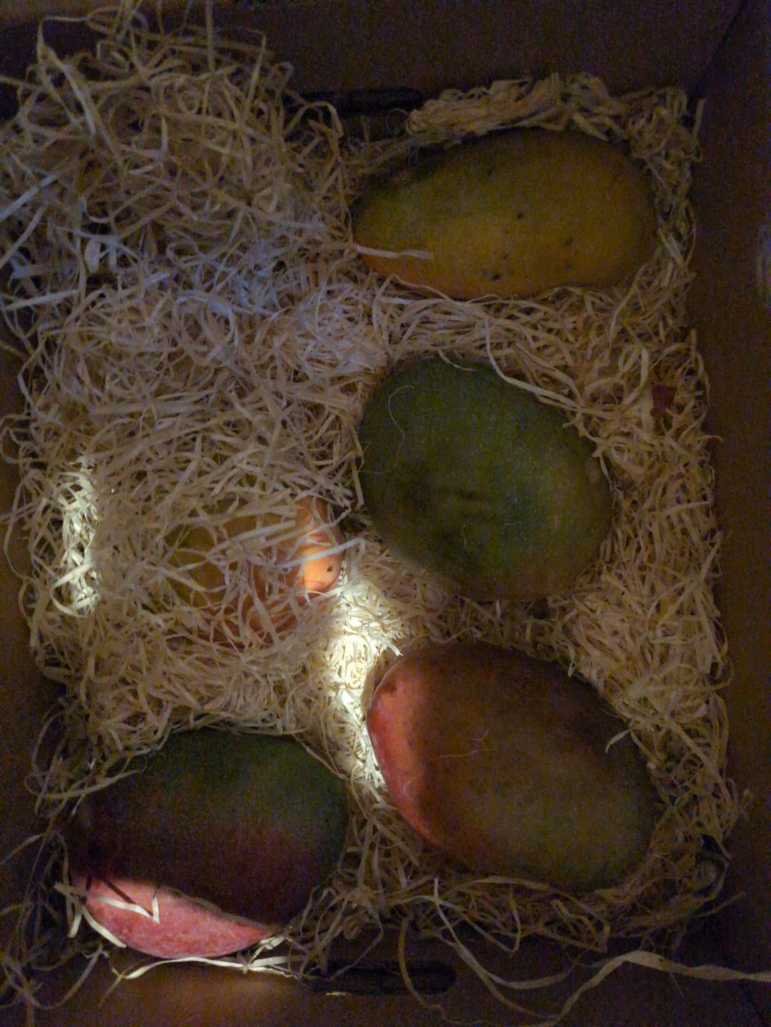 Customer photo review of Mango Mix von Juan 3kg Aktion %
