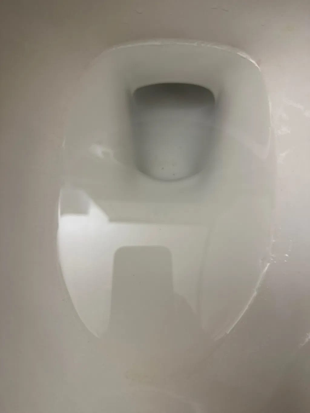Customer photo review of Protector Antisarro para Inodoro