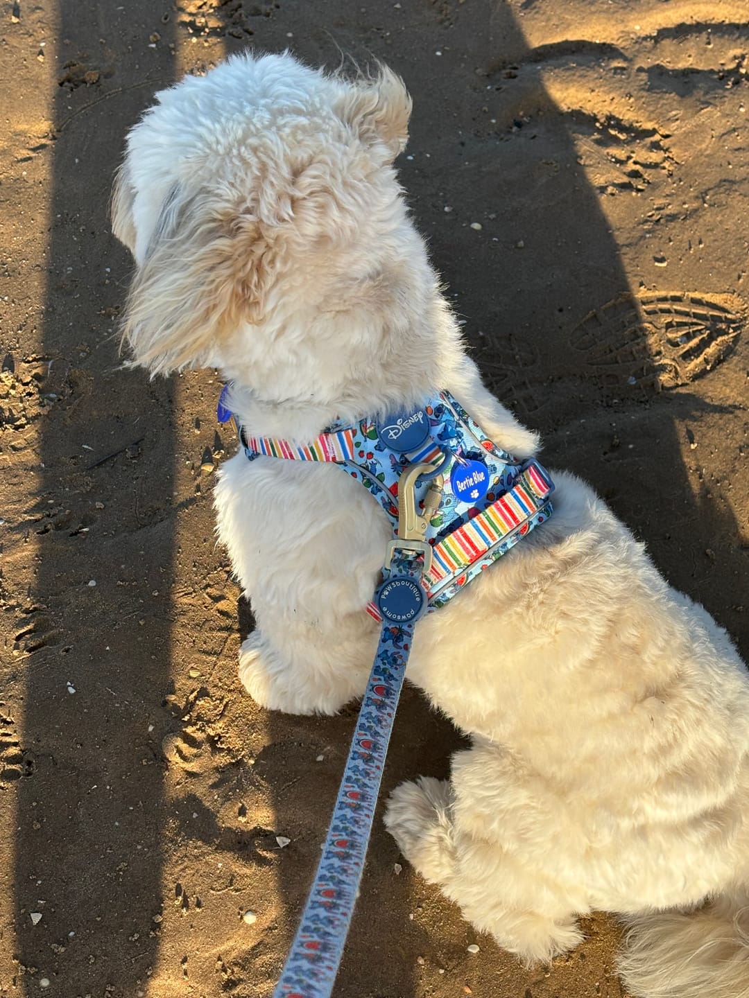 Customer photo review of Disney© Tough Trails™ Harness - Stitch's Fruit Fiesta