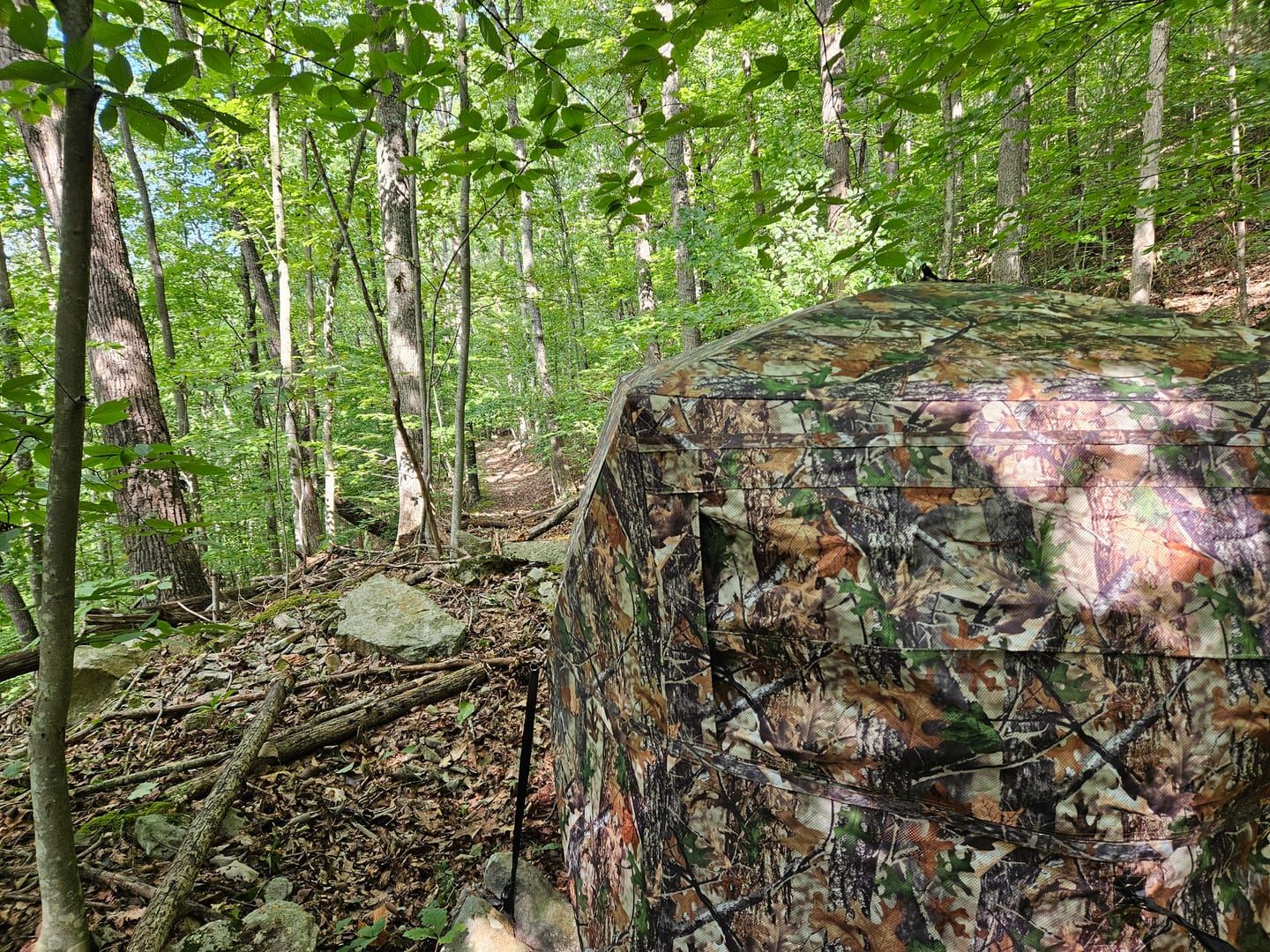 Customer photo review of FLASH SALE VisST See-Through Pop-Up Ground Blinds with Silent Magnetic Door