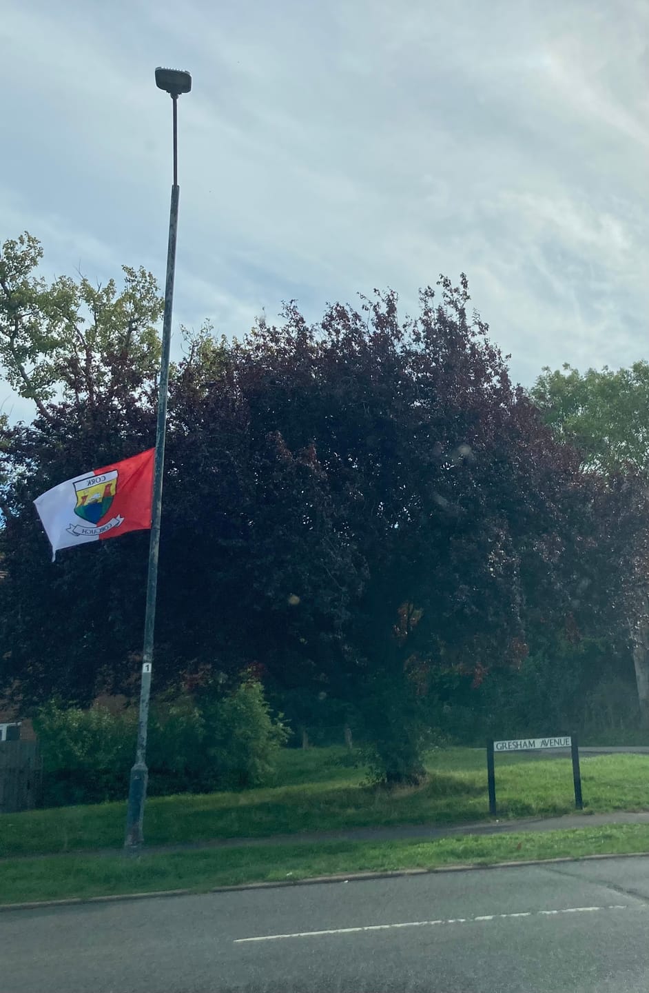 Customer photo review of Cork County Crest Flag