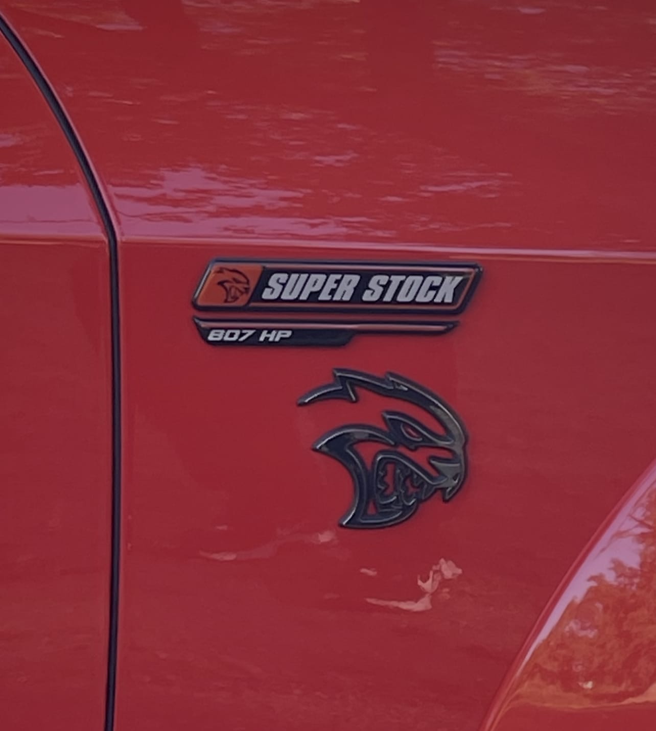 Customer photo review of "SuperStock 807" Fender badge