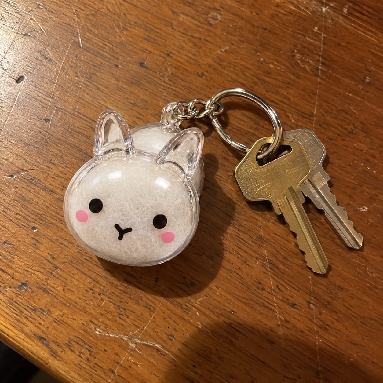 Customer photo review of Keepsake Keychain That Holds Your Bunny's Fur