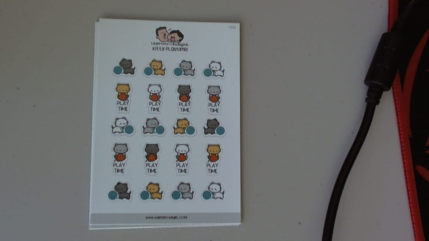 Customer photo review of Kitty Playtime! Planner Stickers