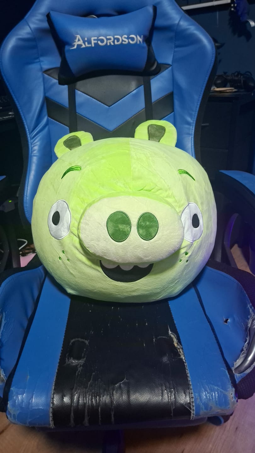 Customer photo review of Game Character Plush