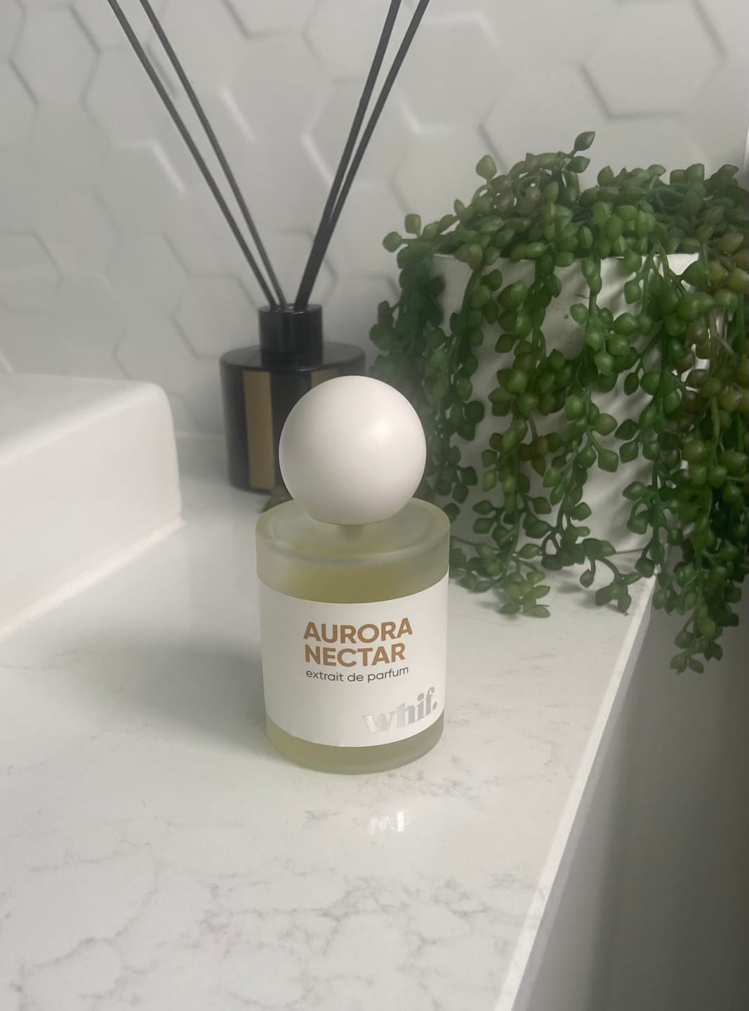 Customer photo review of Aurora Nectar