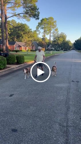 Customer video review of Dogshood ™ No Pull Harness