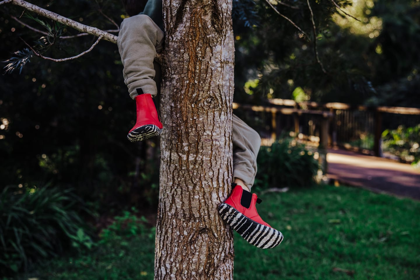 Customer photo review of RED ZEBRA CHELSEA - JNR