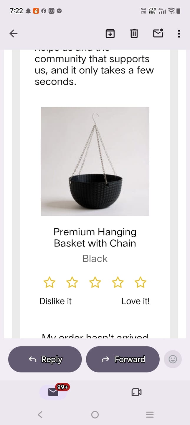 Customer photo review of Premium Hanging Basket with Chain