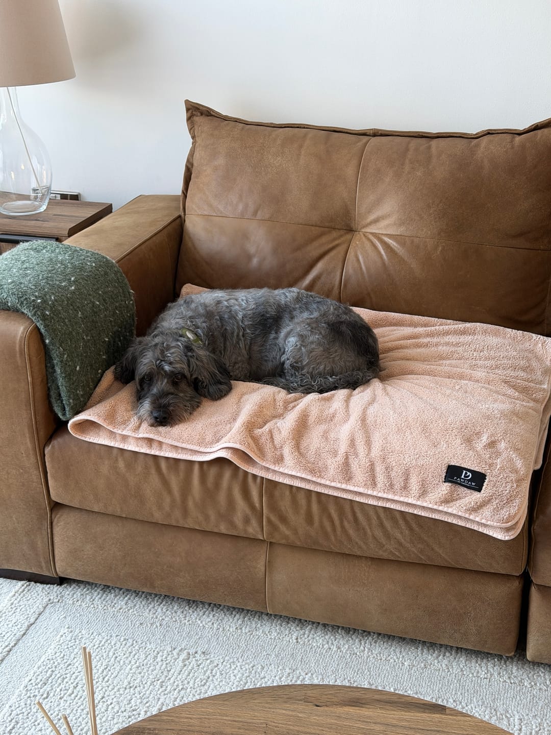 Customer photo review of Luxury Throw & Dog Blanket