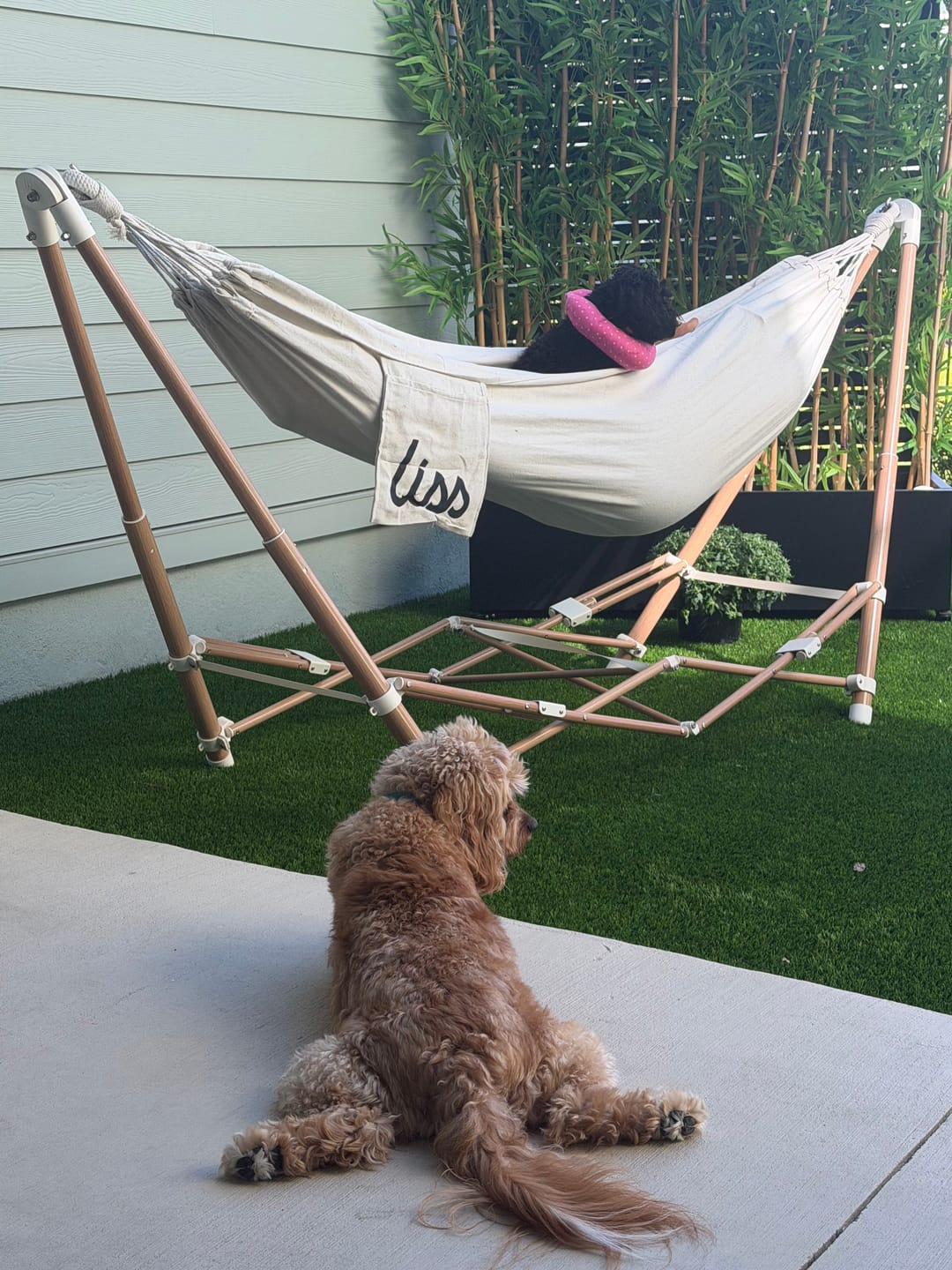Customer photo review of The Go Hammock (Pre-sale)
