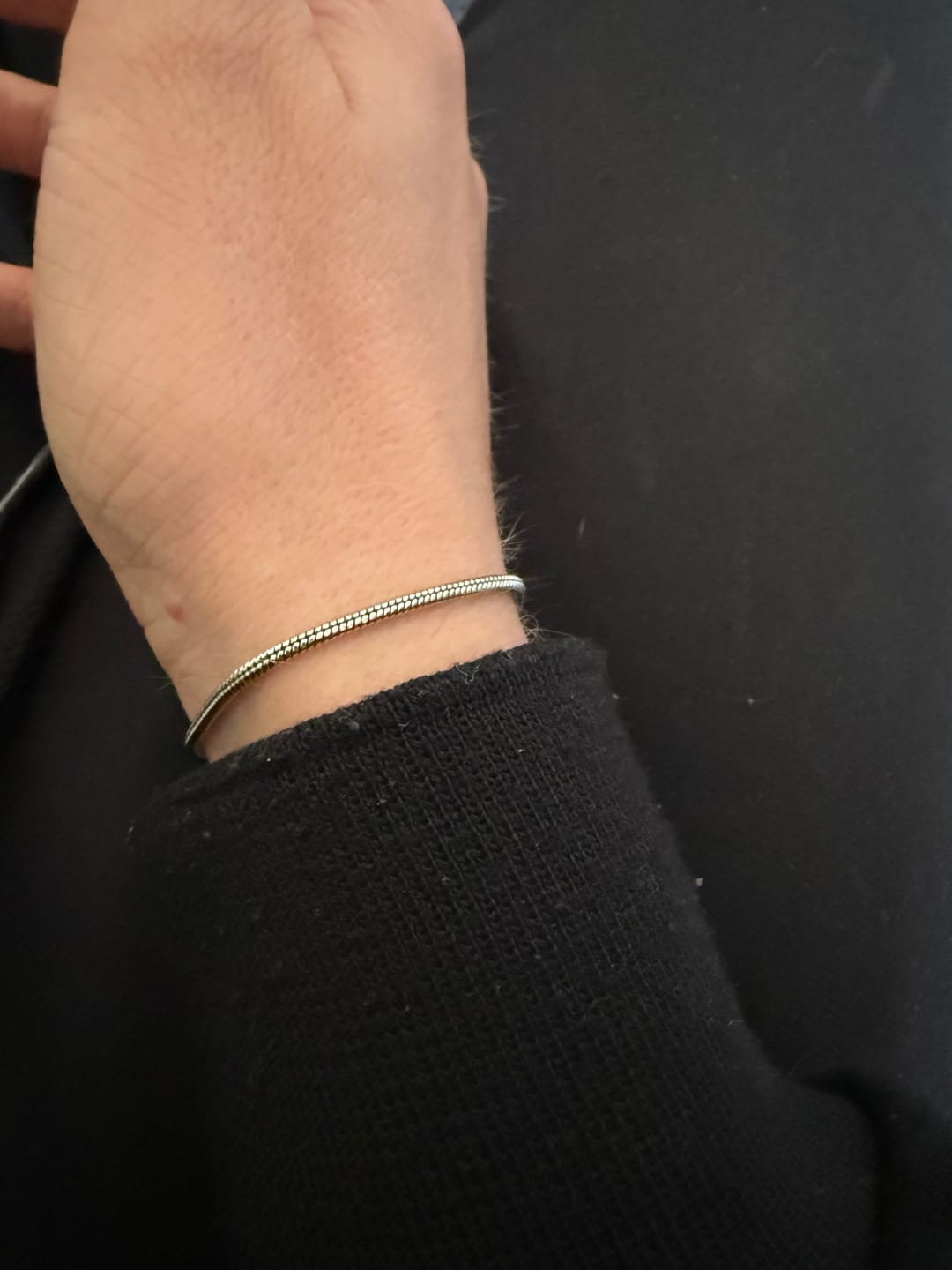 Customer photo review of Snake Bracelet