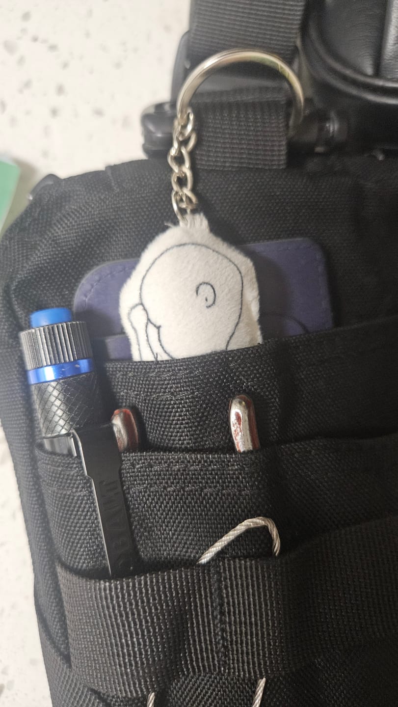 Customer photo review of Birth Pillow Keychain