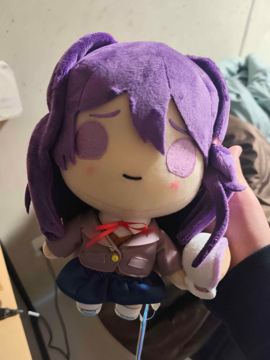 Customer photo review of Doki Doki Literature Club - Yuri Collector's Plush