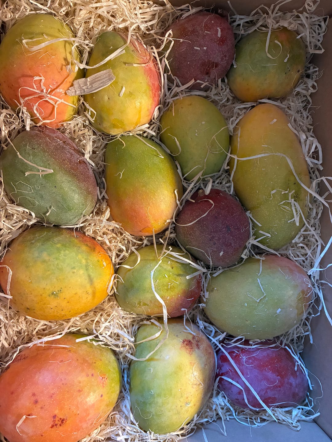 Customer photo review of Ugly Mangobox
