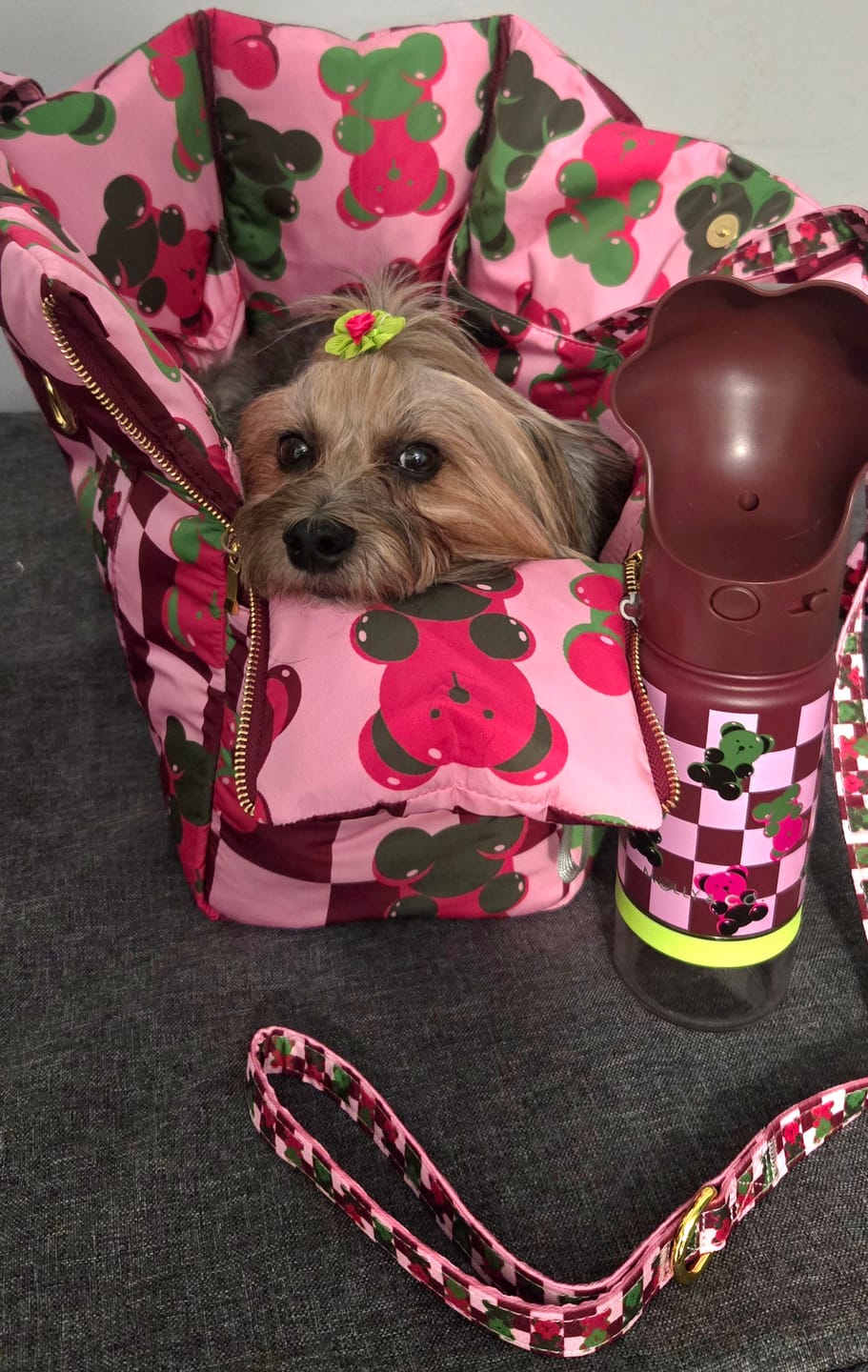 Customer photo review of Gummy Bears - Dog Travel Bag