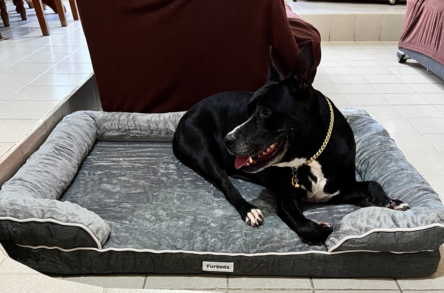Customer photo review of Cama Ortopédica para Perros
