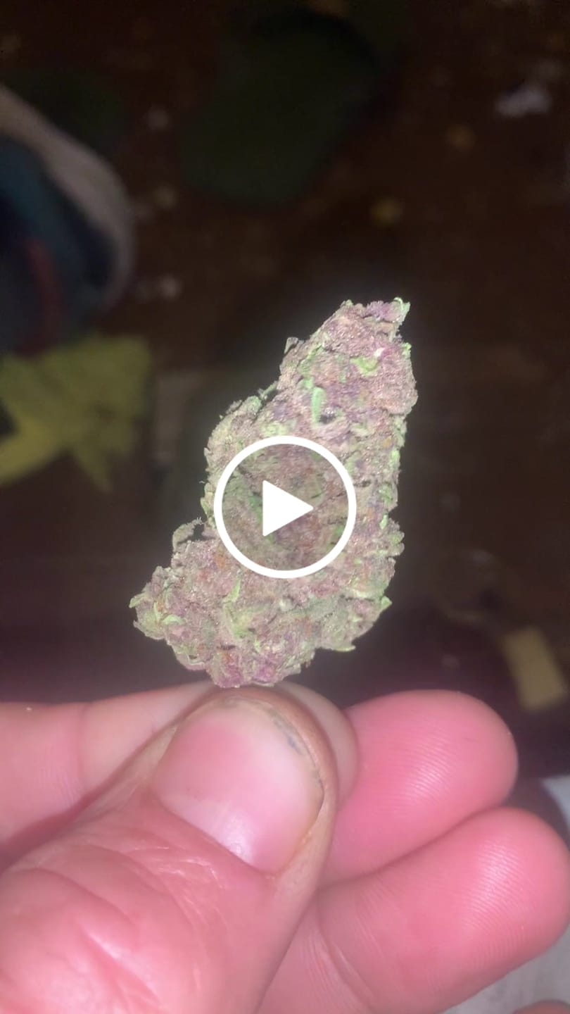 Customer video review of THCA Queen
