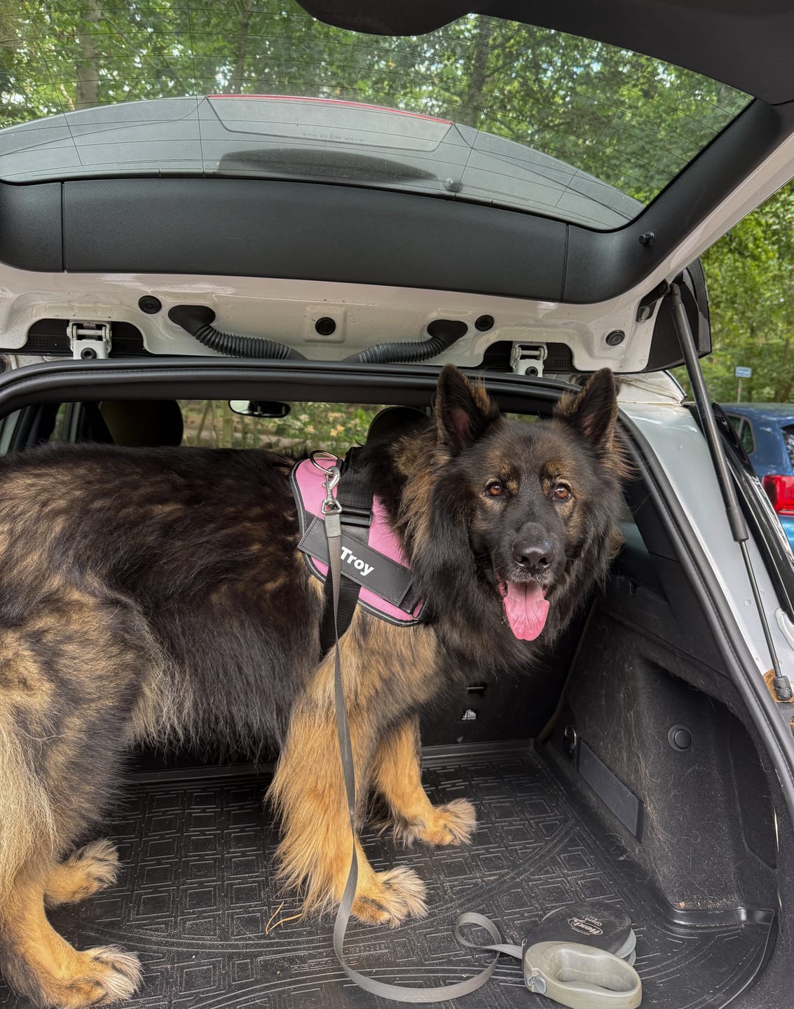 Customer photo review of PawGuard - Gepersonaliseerd Hondentuigje