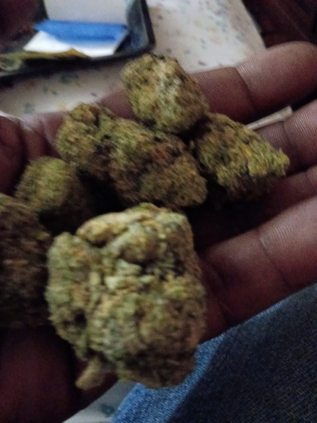 Customer photo review of Biscotti THCA Flower (Premium)