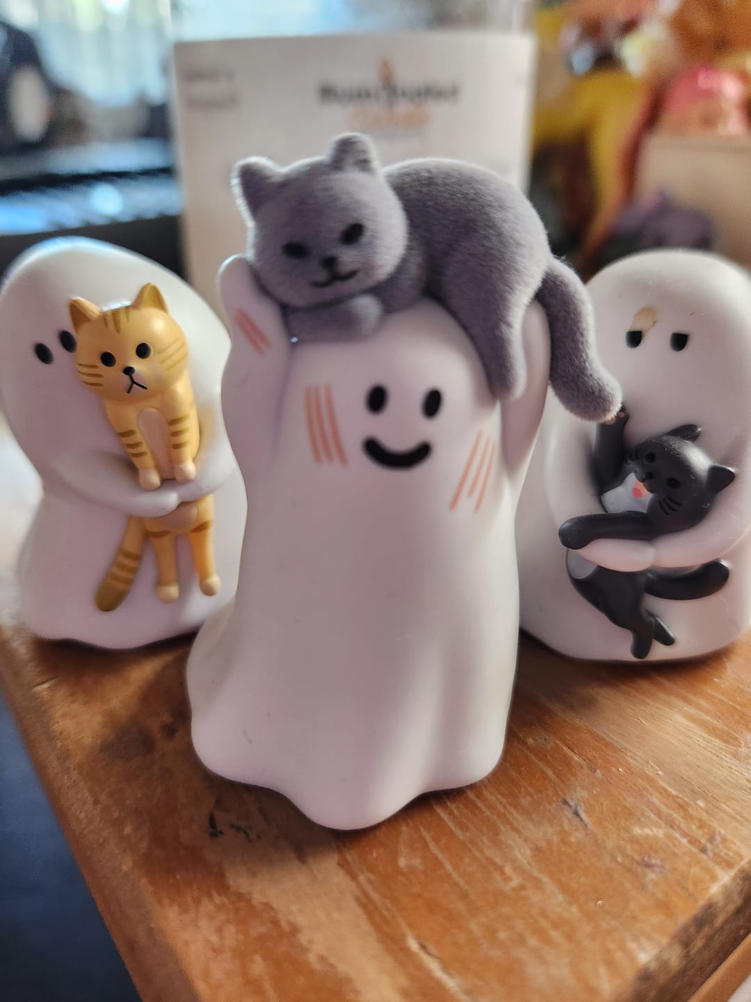 Customer photo review of Ghody Behold My Cat Series Mini Blind Box