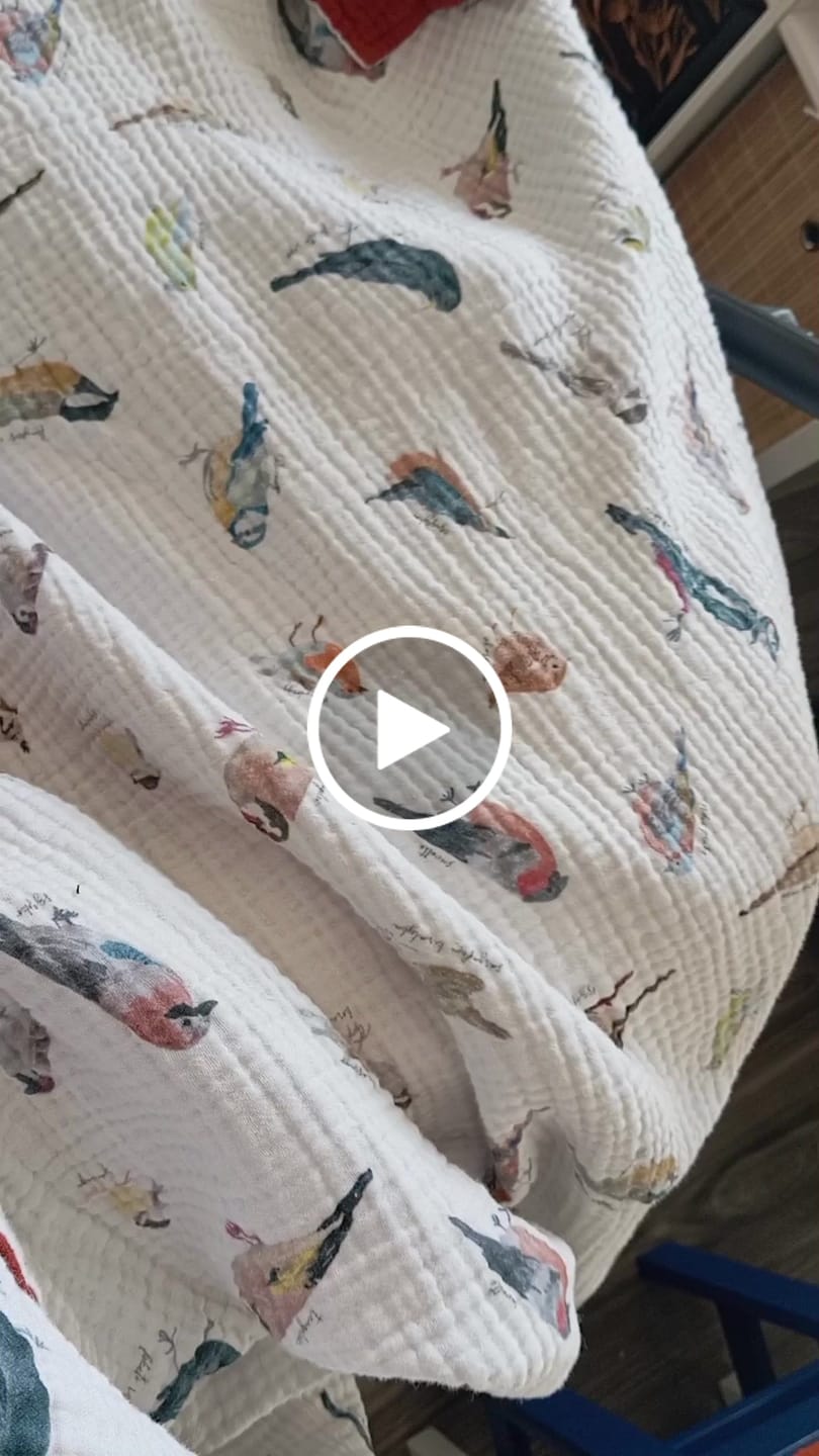 Customer video review of Átmeneti takaró - Téli madárdal
