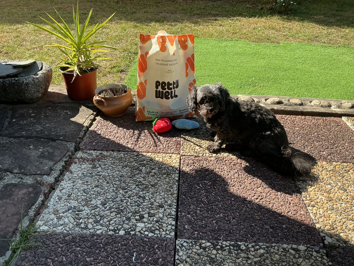 Customer photo review of Croquettes Poulet pour chien (petite) - 1. 84 Mig
