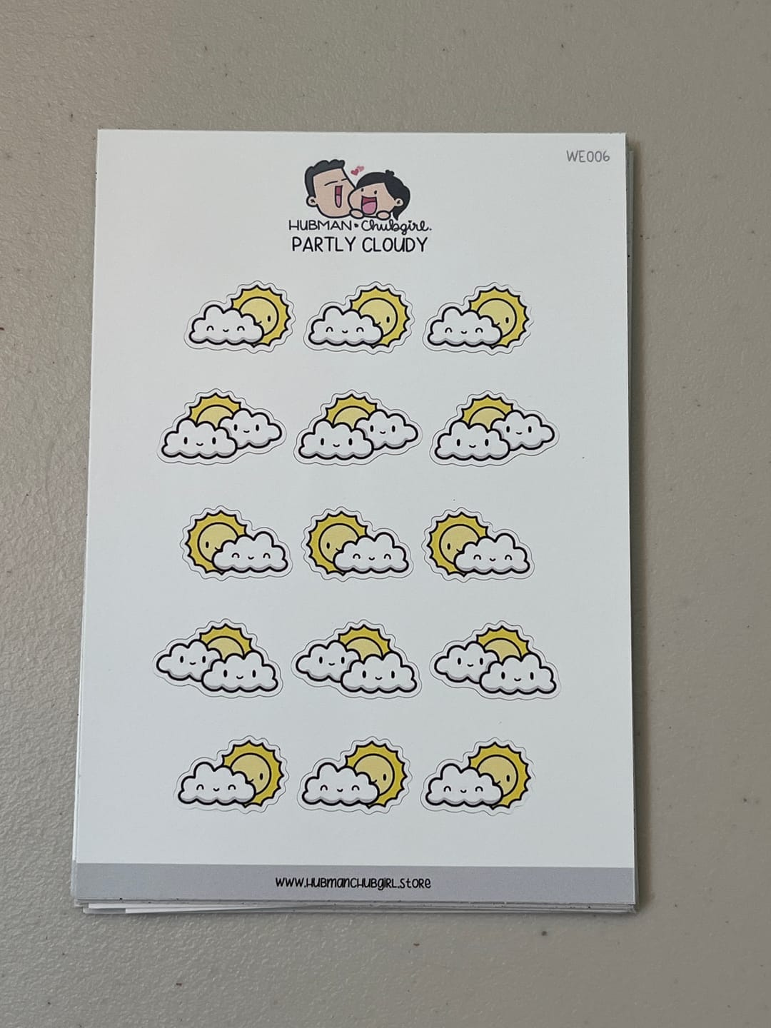 Customer photo review of Partly Cloudy Planner Stickers