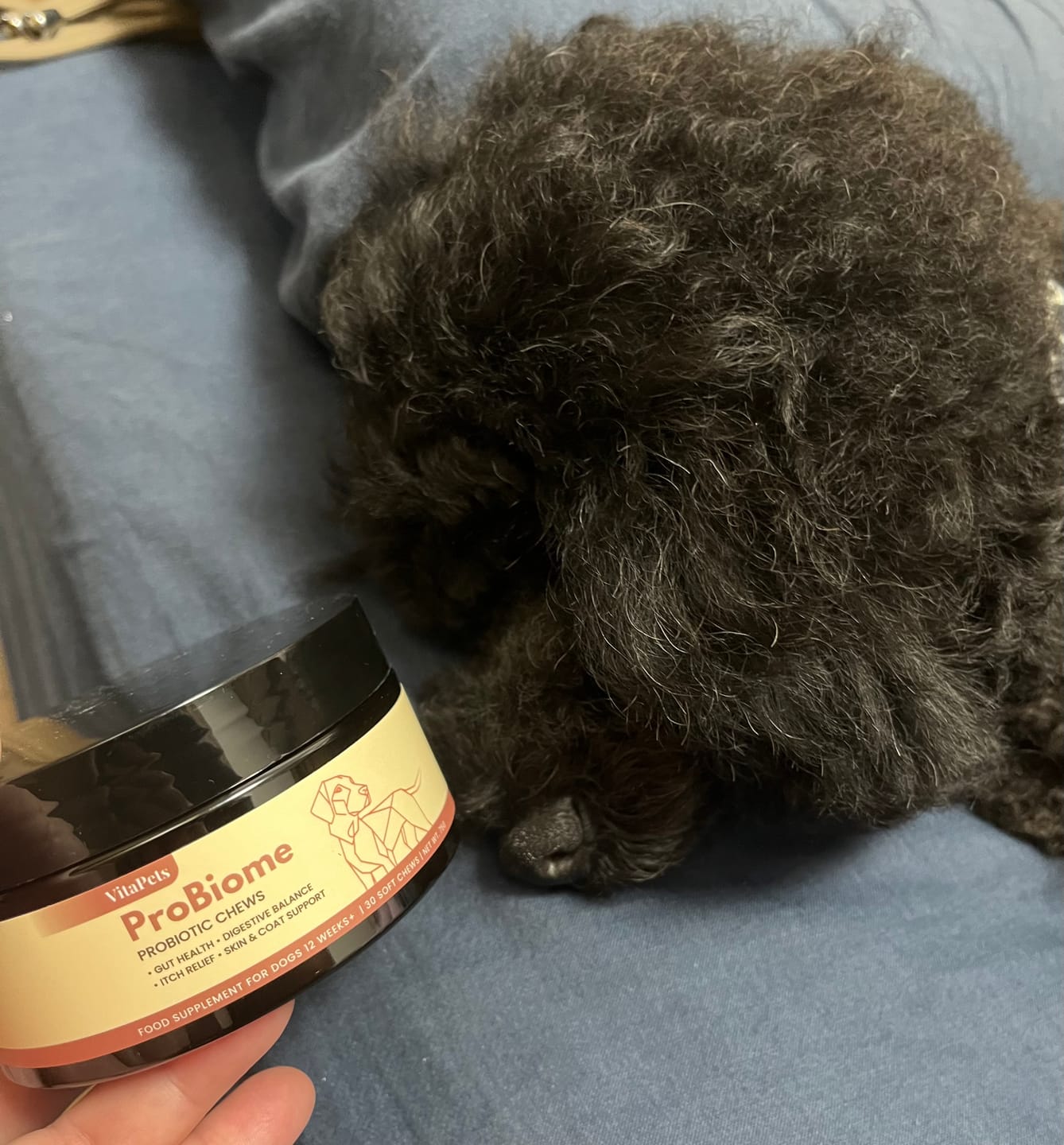 Customer photo review of ProBiome™狗狗益生菌軟粒