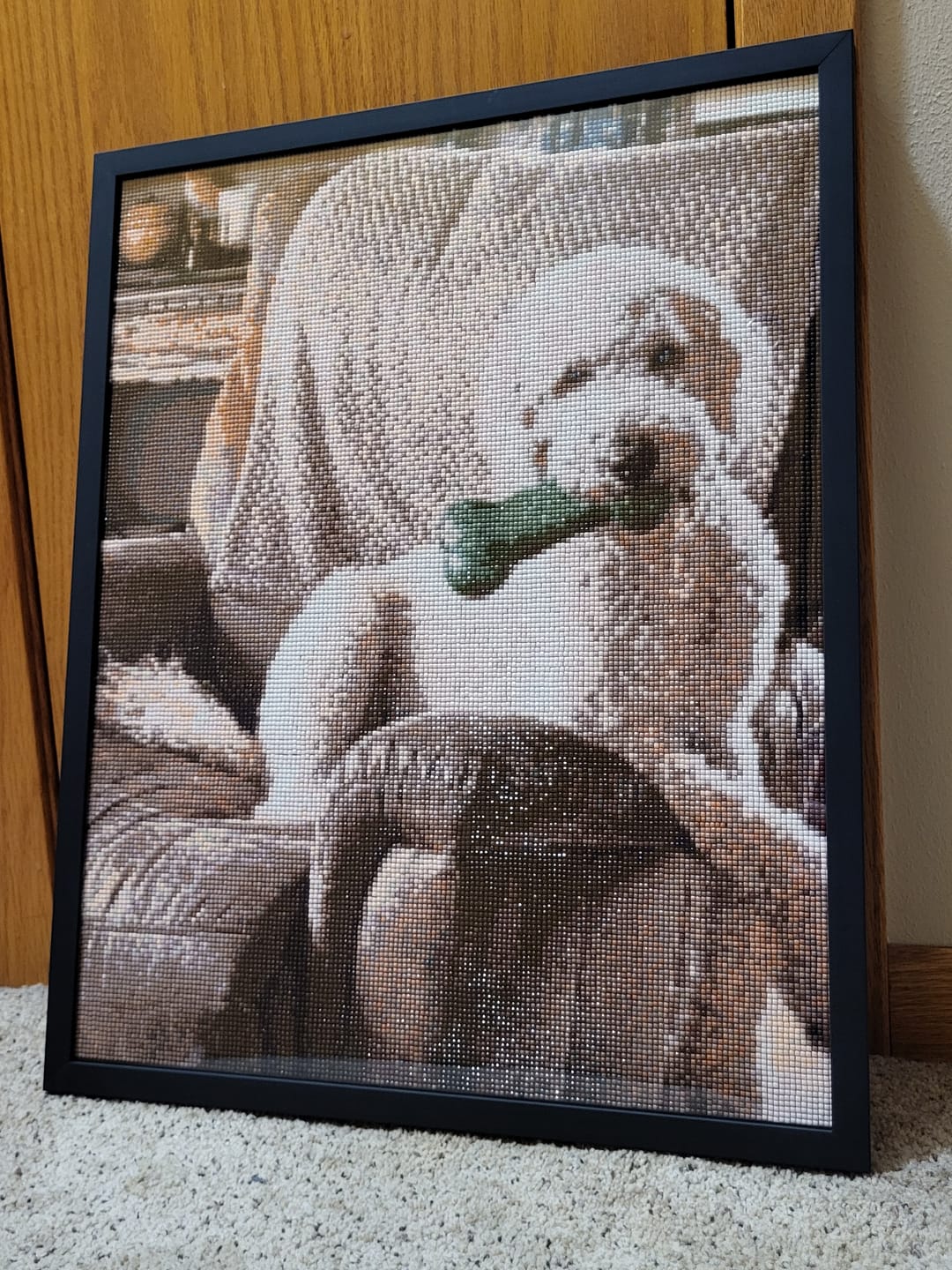 Customer photo review of Worlds Best Customized Diamond Painting Kit